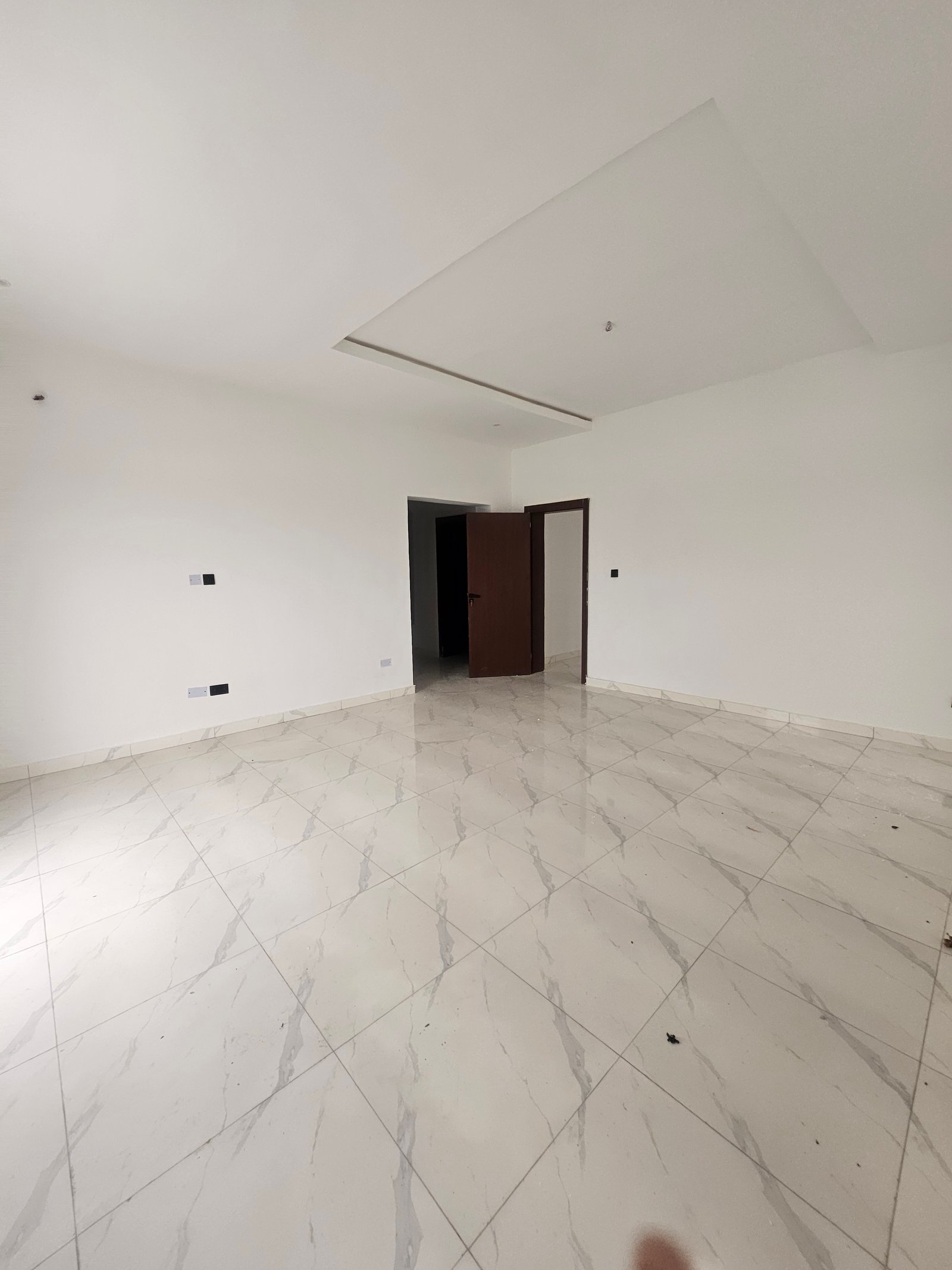 Luxury 4 bedroom fully detached duplex + Penthouse + BQ for Sale in Ajah, Lagos photo 4