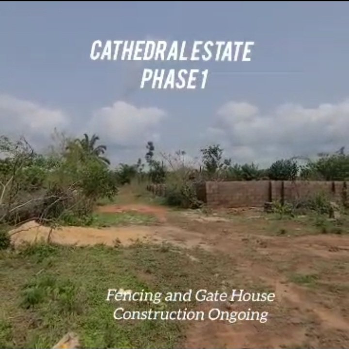 REGISTERED SURVEY AND DEED OF CONVEYANCE for Sale in Asaba, Delta photo 2