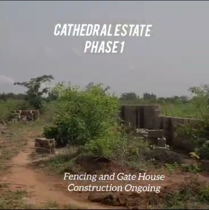 REGISTERED SURVEY AND DEED OF CONVEYANCE for Sale in Asaba, Delta photo 3