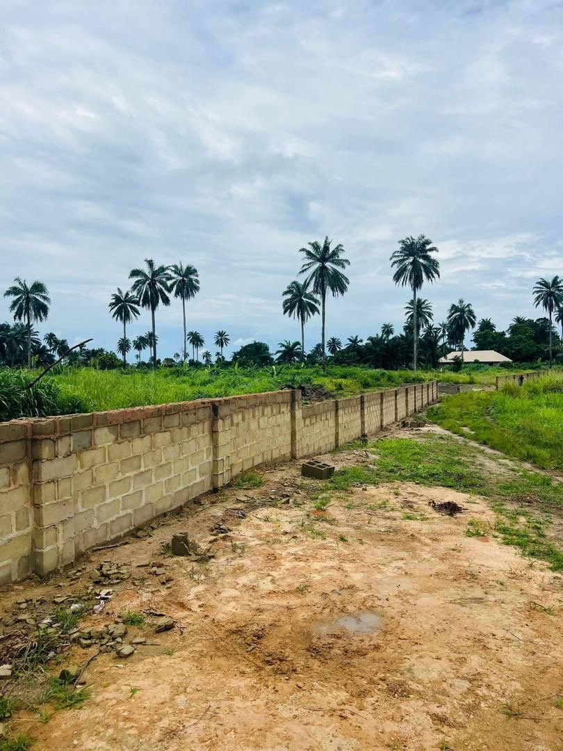 LAND INVESTMENT OPPORTUNITY - OLUBUNMI GARDENS ANNEX for Sale in Epe, Lagos photo 5