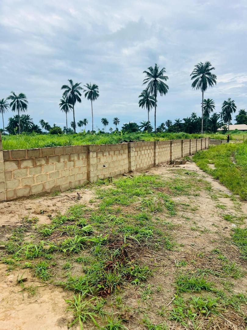 LAND INVESTMENT OPPORTUNITY - OLUBUNMI GARDENS ANNEX for Sale in Epe, Lagos photo 11