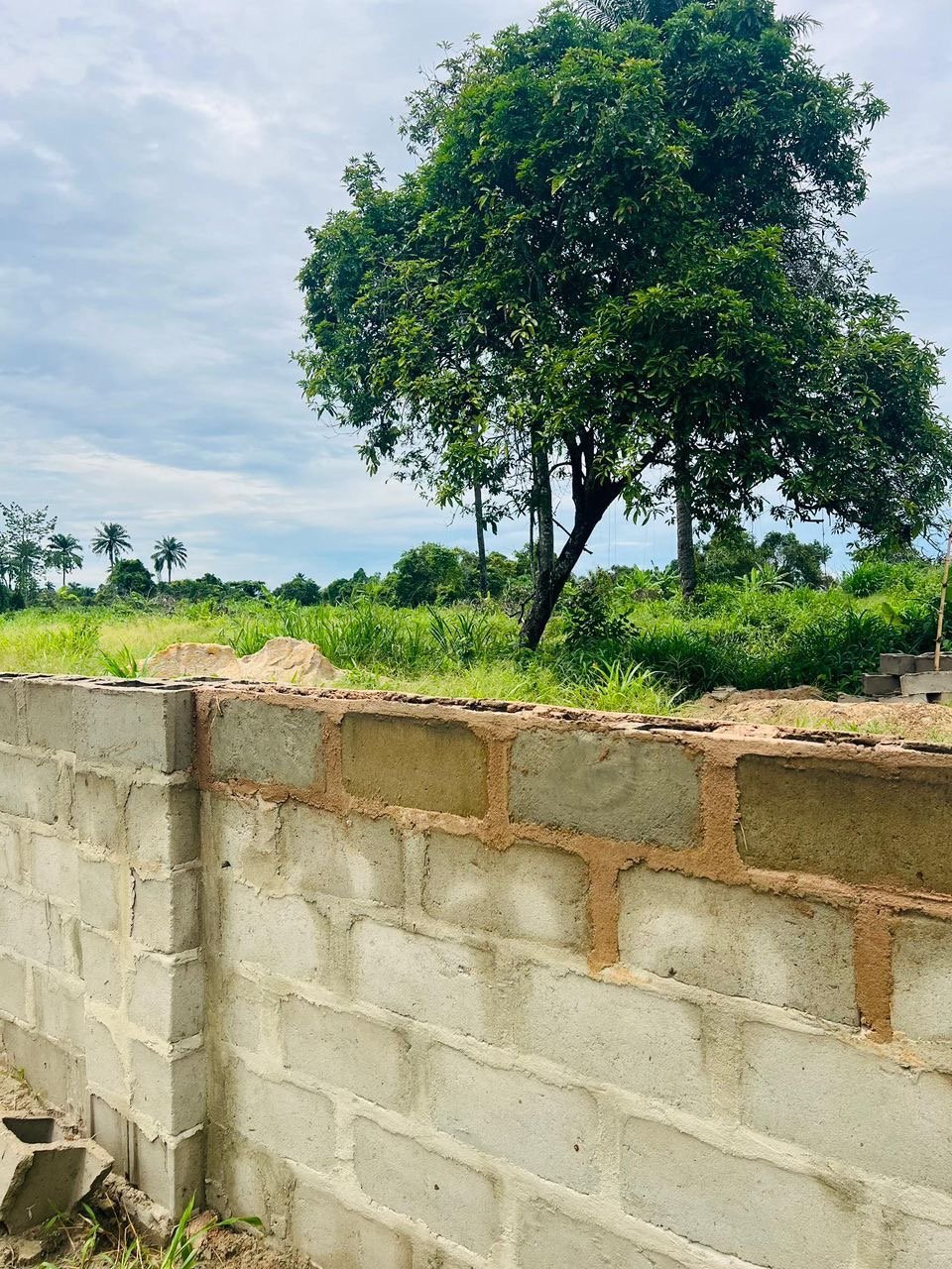 LAND INVESTMENT OPPORTUNITY - OLUBUNMI GARDENS ANNEX for Sale in Epe, Lagos photo 9
