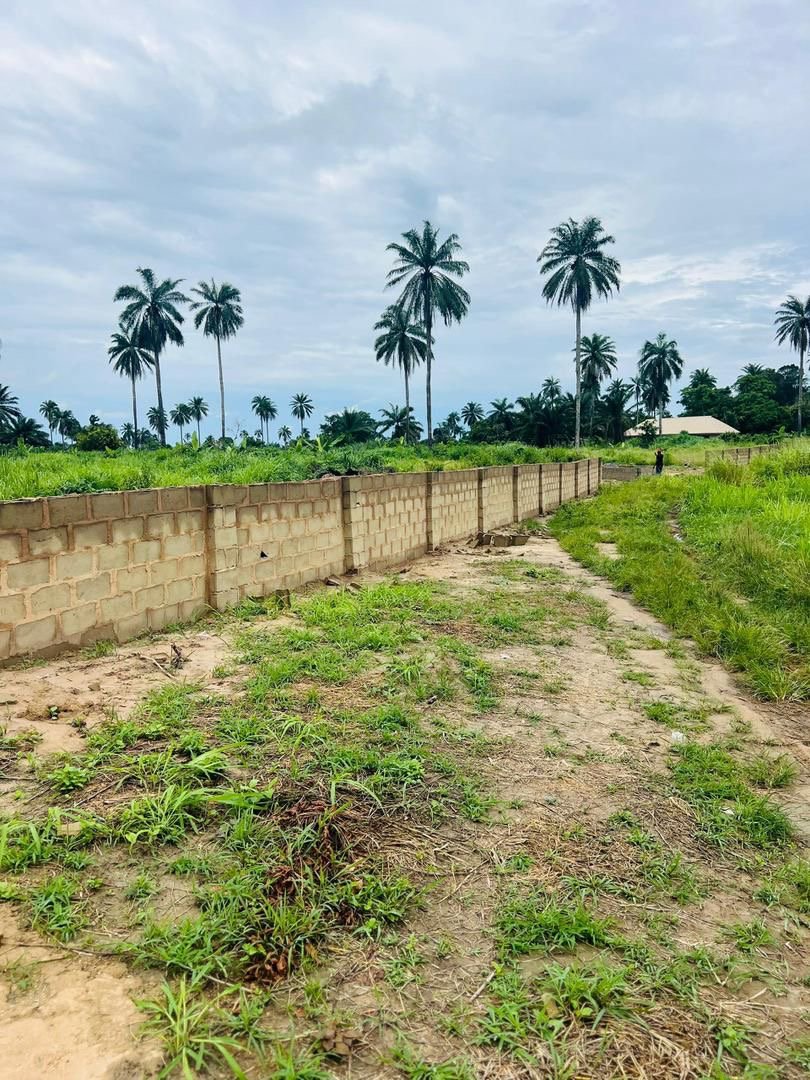 LAND INVESTMENT OPPORTUNITY - OLUBUNMI GARDENS ANNEX for Sale in Epe, Lagos photo 12