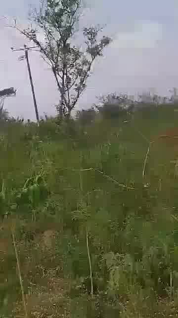 VIRGIN LAND IN IBADAN for Sale in Ibadan, Oyo photo 6