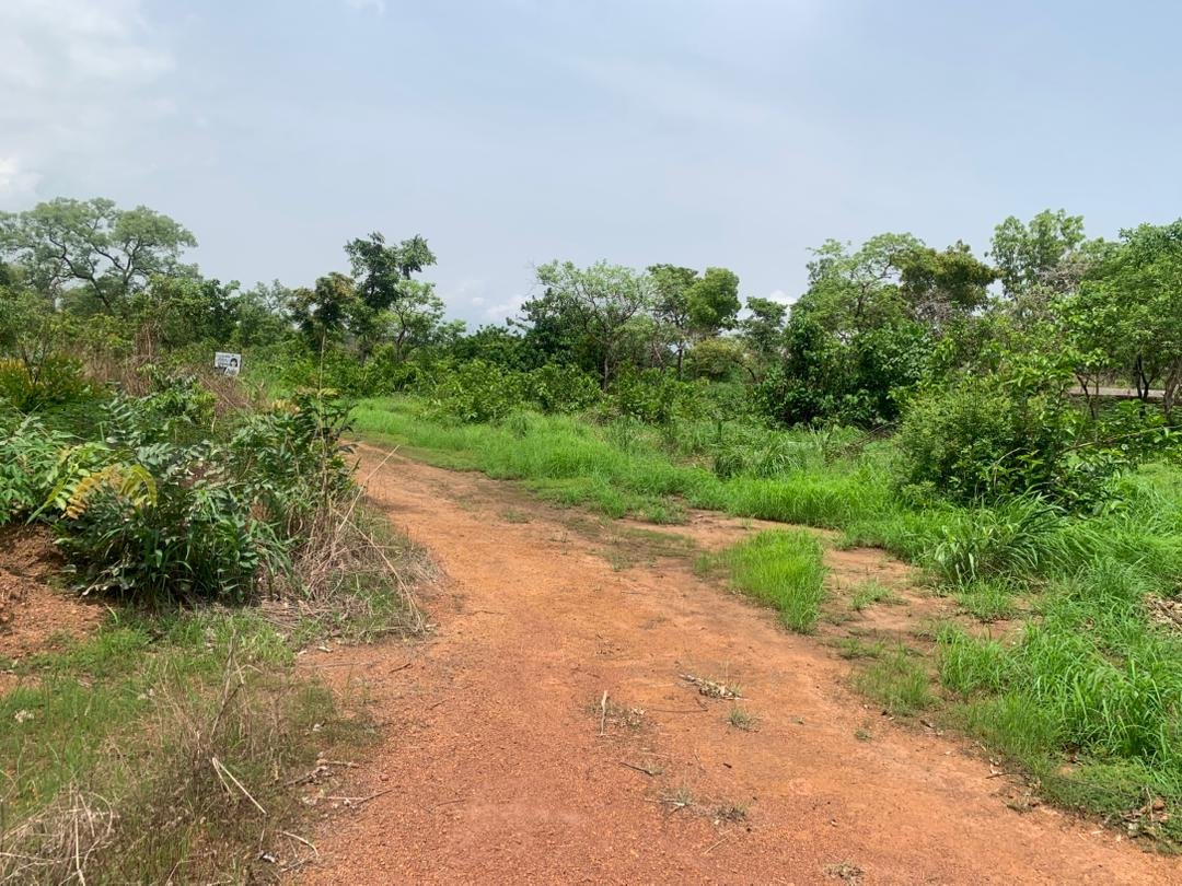 LAND FOR SALE IN ENUGU in Ogidi, Anambra photo 6