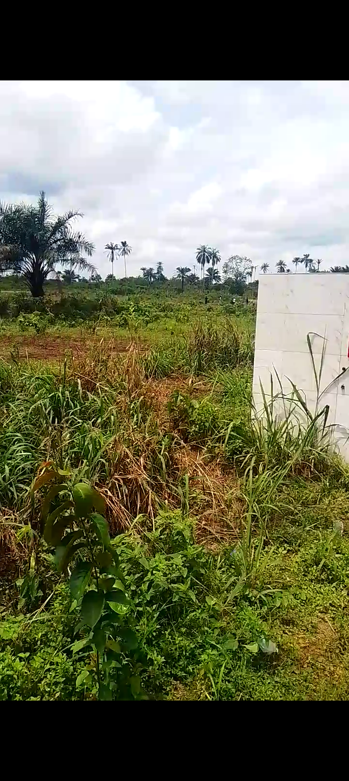 Prime Land for Sale at TLE City Estate, Uyo â€“ From â‚¦1.75M in Aba South, Aba, Abia photo 3