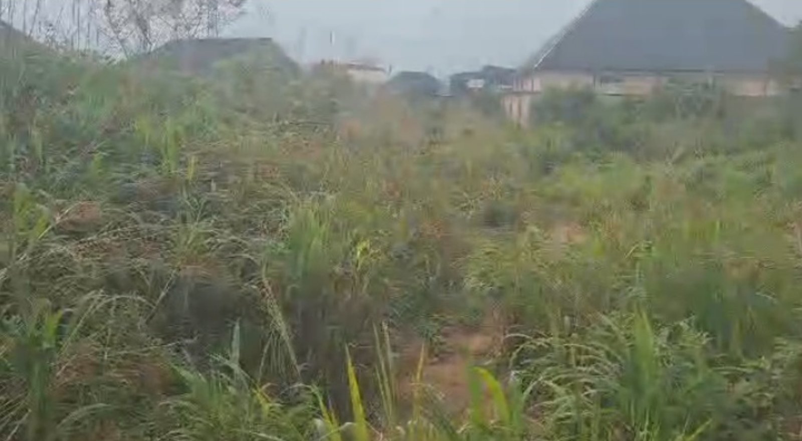 1 Standard plot of land for Sale in Amarata, Yenagoa, Bayelsa
