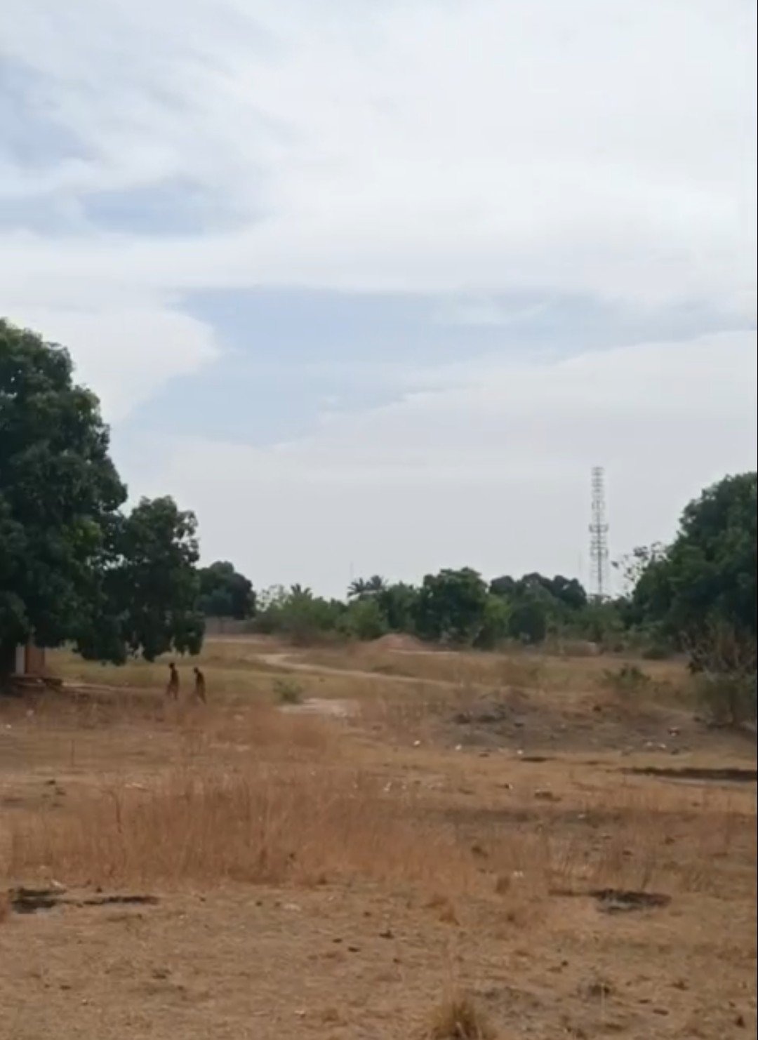 Commercial Land for Sale in Kaduna photo 2