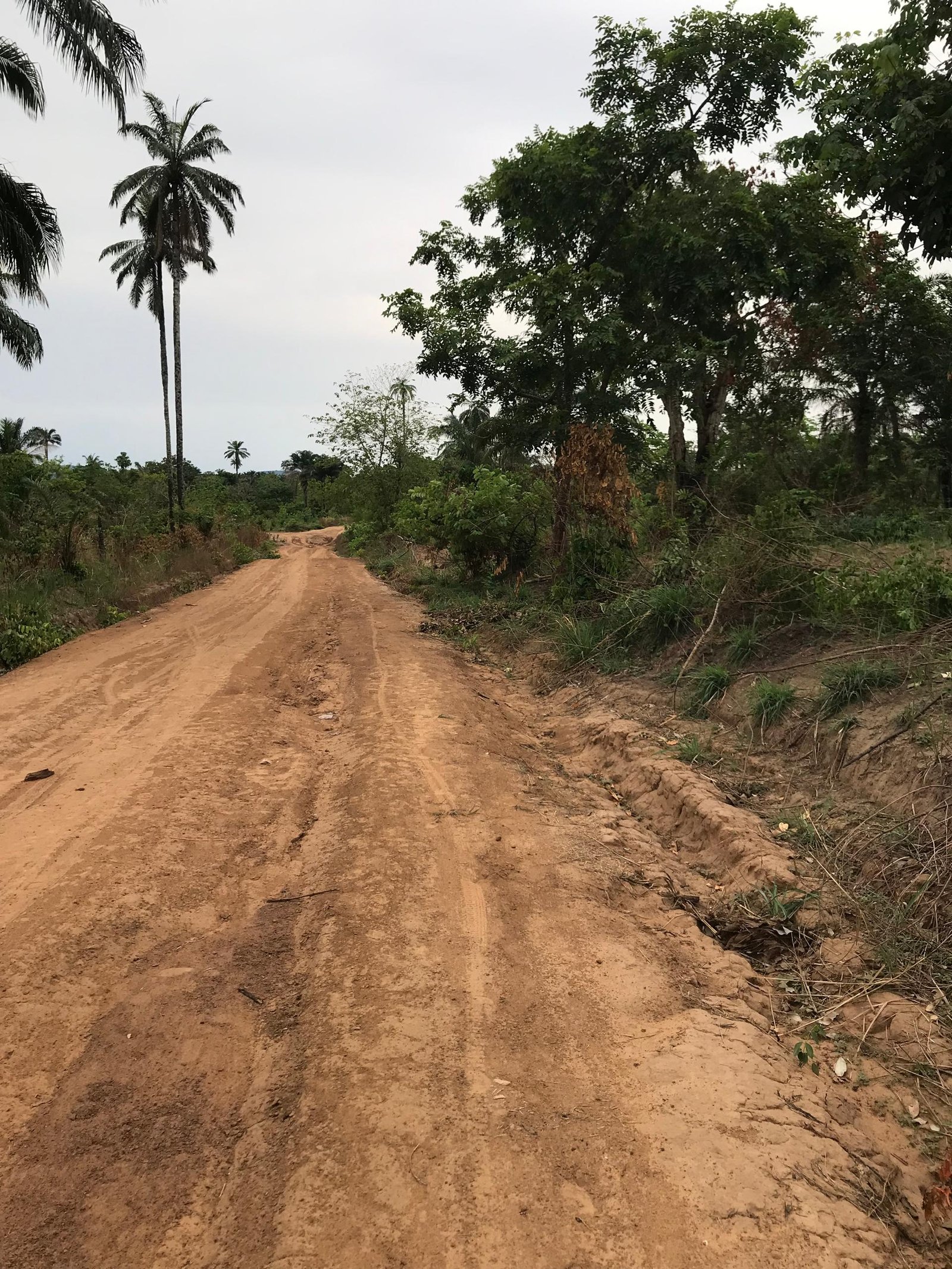 Plots available for sale in Enugu photo 2