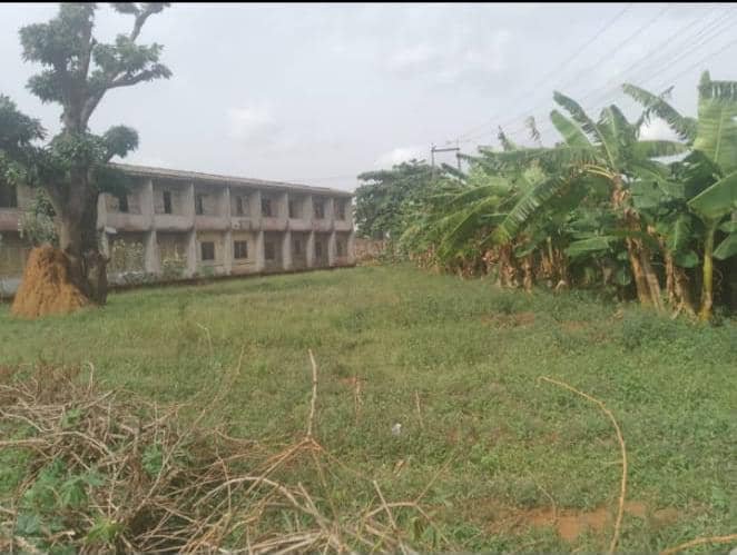 Lands with GLOBAL C OF O for sale in Oshodi, Lagos photo 3