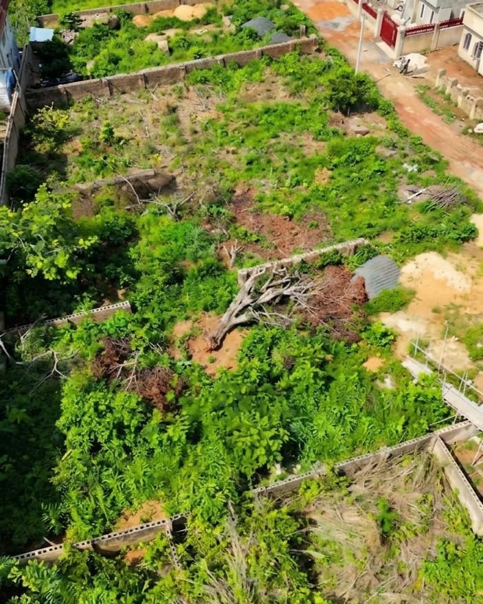 Land for Sale in Enugu photo 3