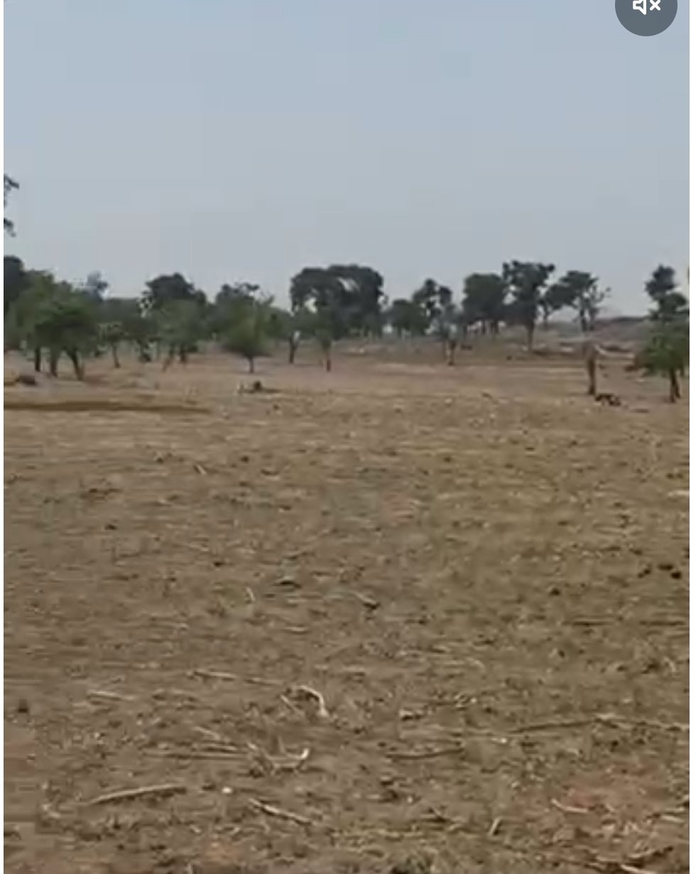 100 Hectres Land for Sale in Central Area, Abuja, FCT